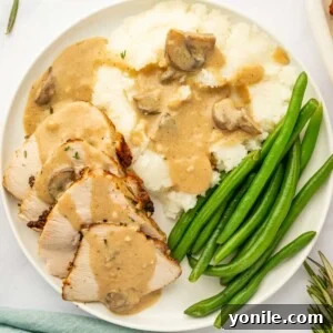 A festive holiday platter featuring slices of air-fried turkey breast, accompanied by savory gravy and creamy mashed potatoes.