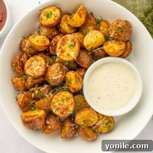 A platter of crispy air fried potatoes and dip.