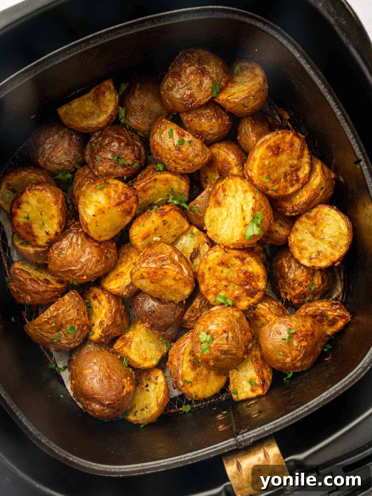 A close-up shot of perfectly air-fried red potatoes, featuring a beautifully crispy, golden-brown skin, piled inside an air fryer basket.
