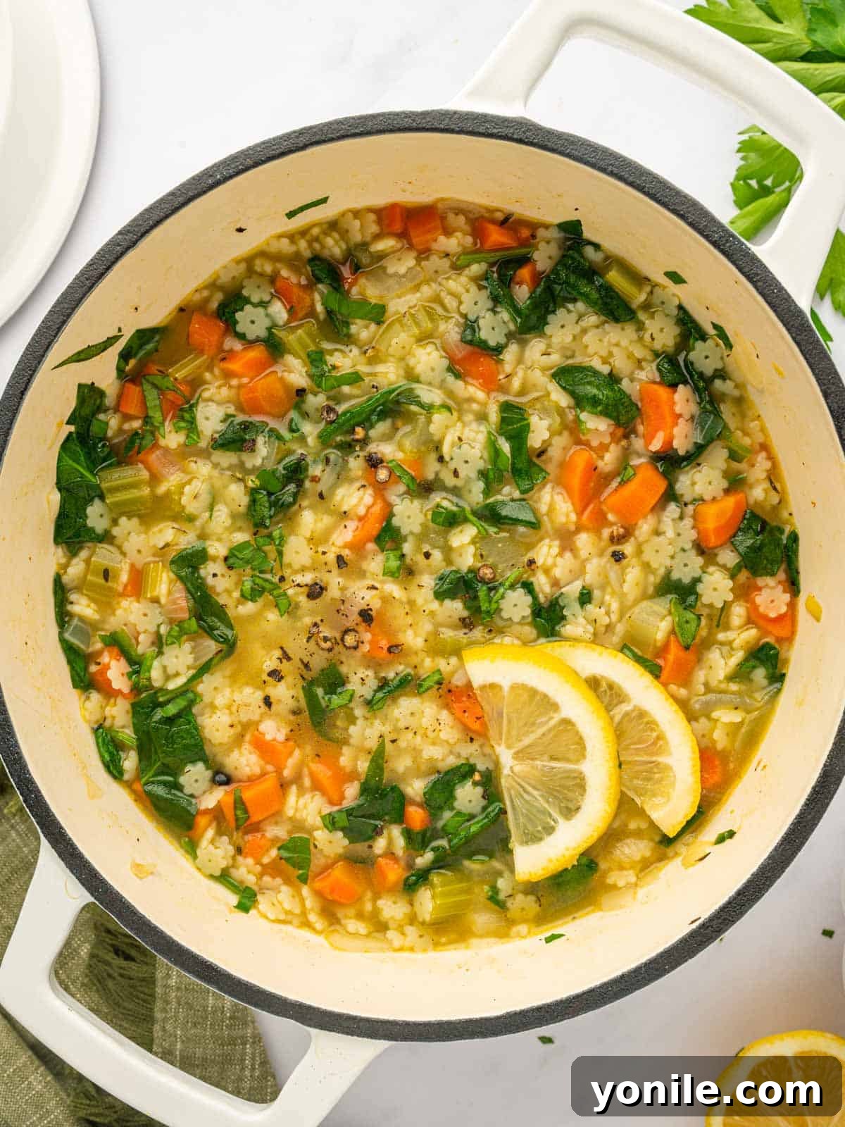 A dutch oven full of pastina soup.