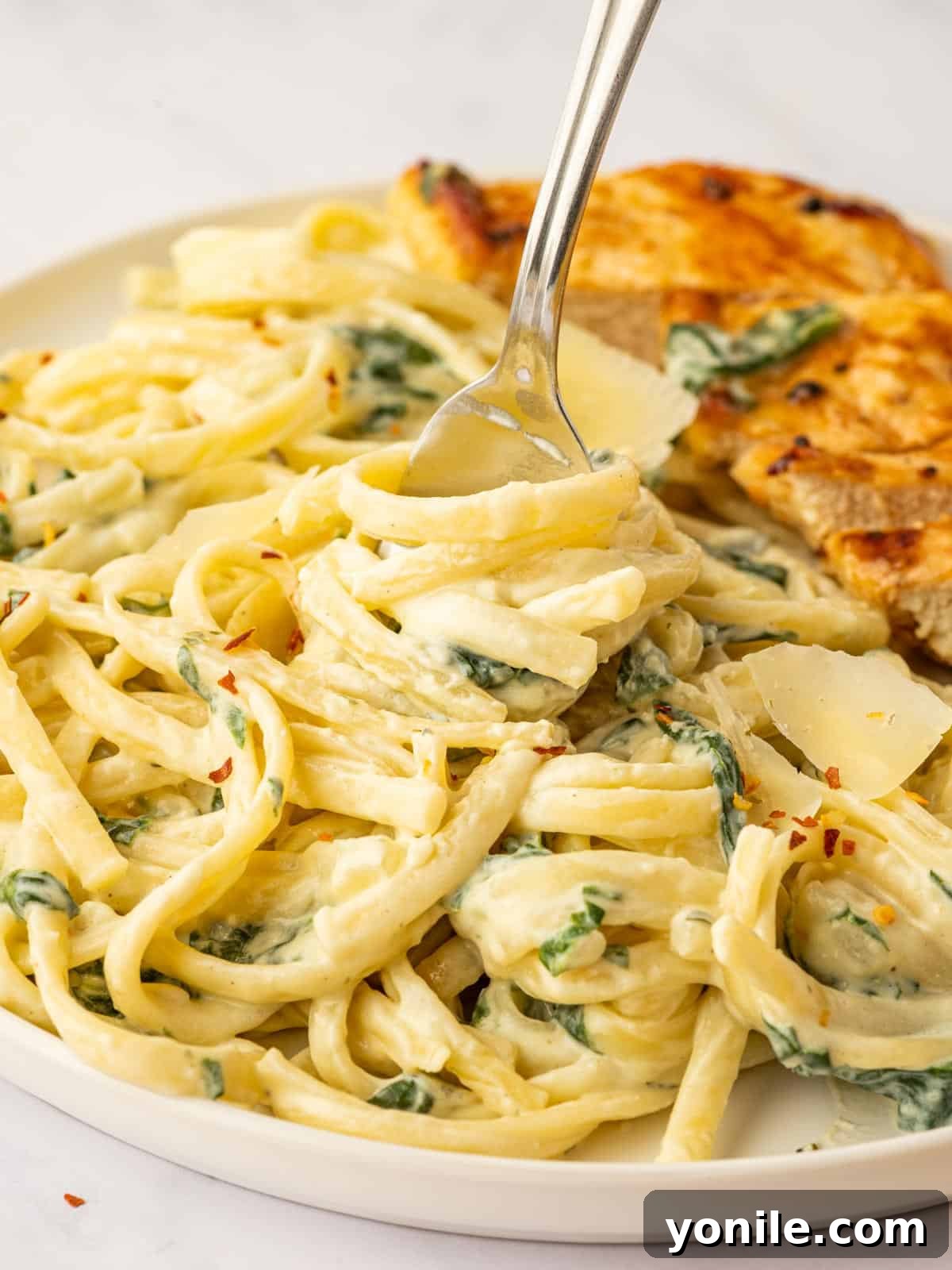 A fork twirls noodles with boursin sauce.