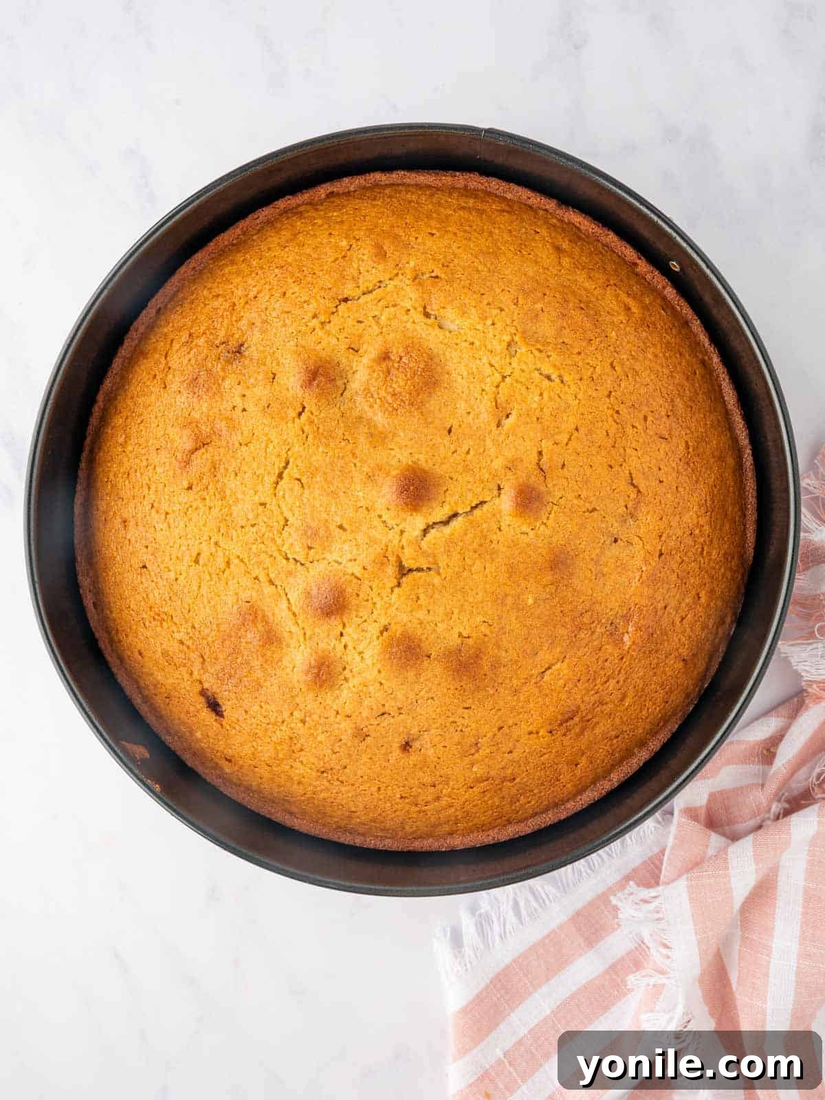 The baked pear cake, golden brown and perfectly risen, cooling in its pan.