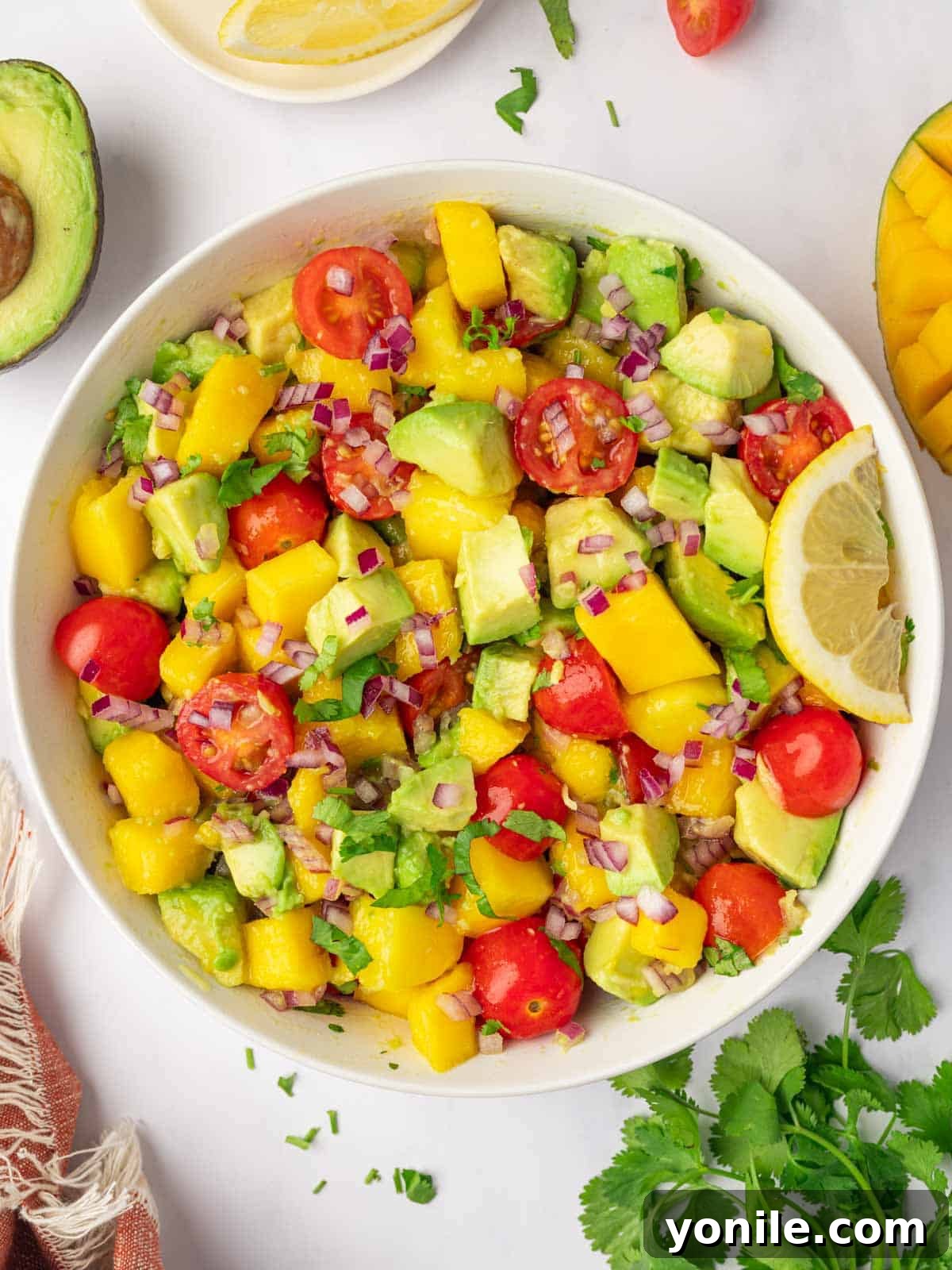 Avocado mango salad in a white bowl.
