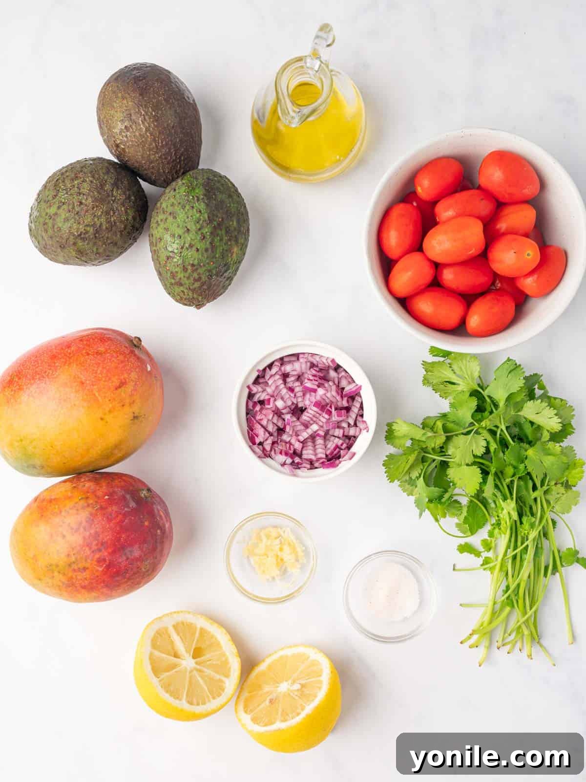 Ingredients for avocado mango salad.