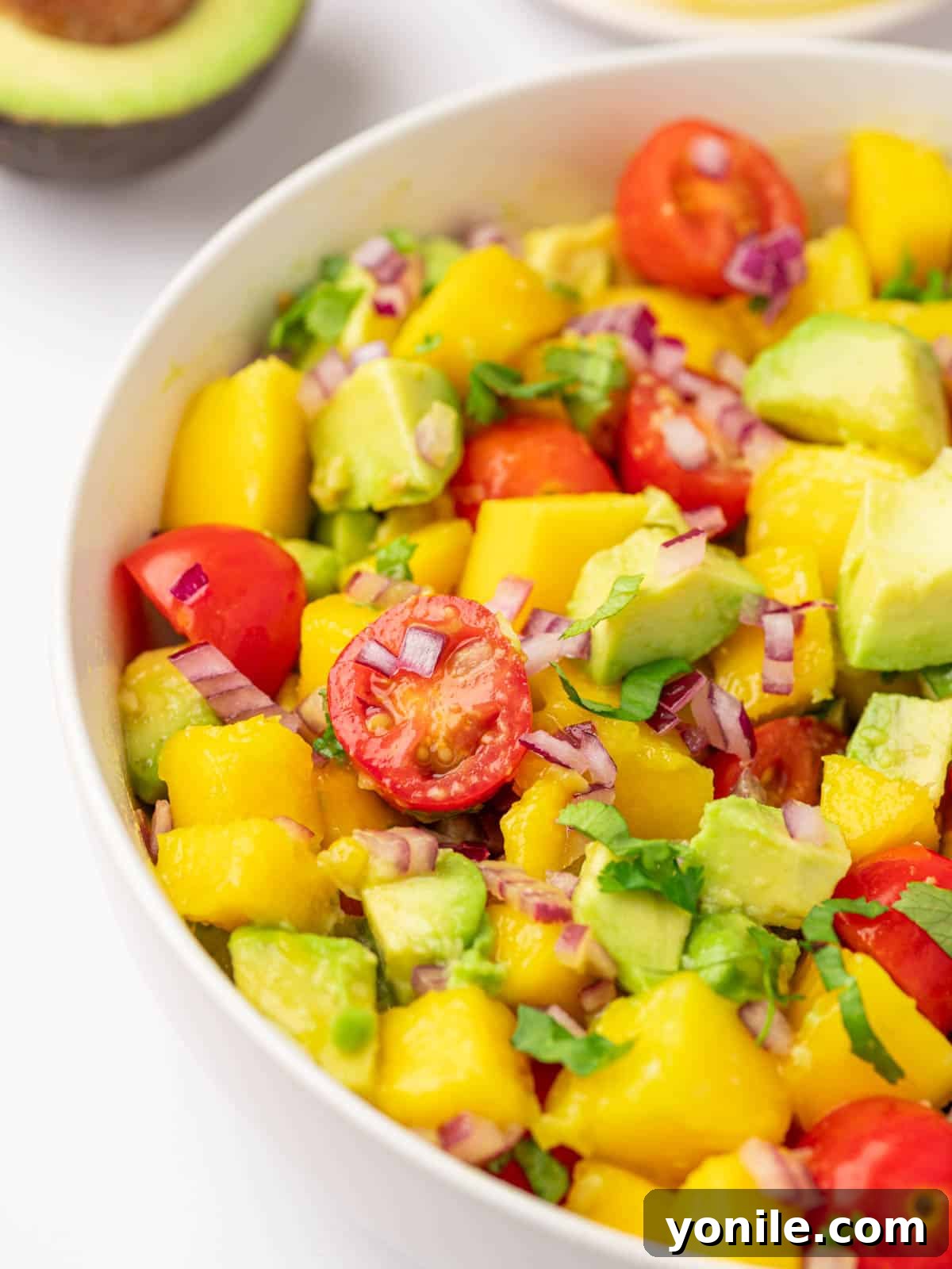 Close up shot of avocado mango salad.