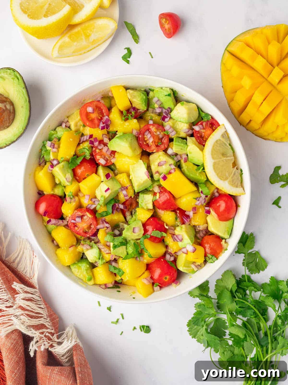 Top down shot of avocado mango salad.