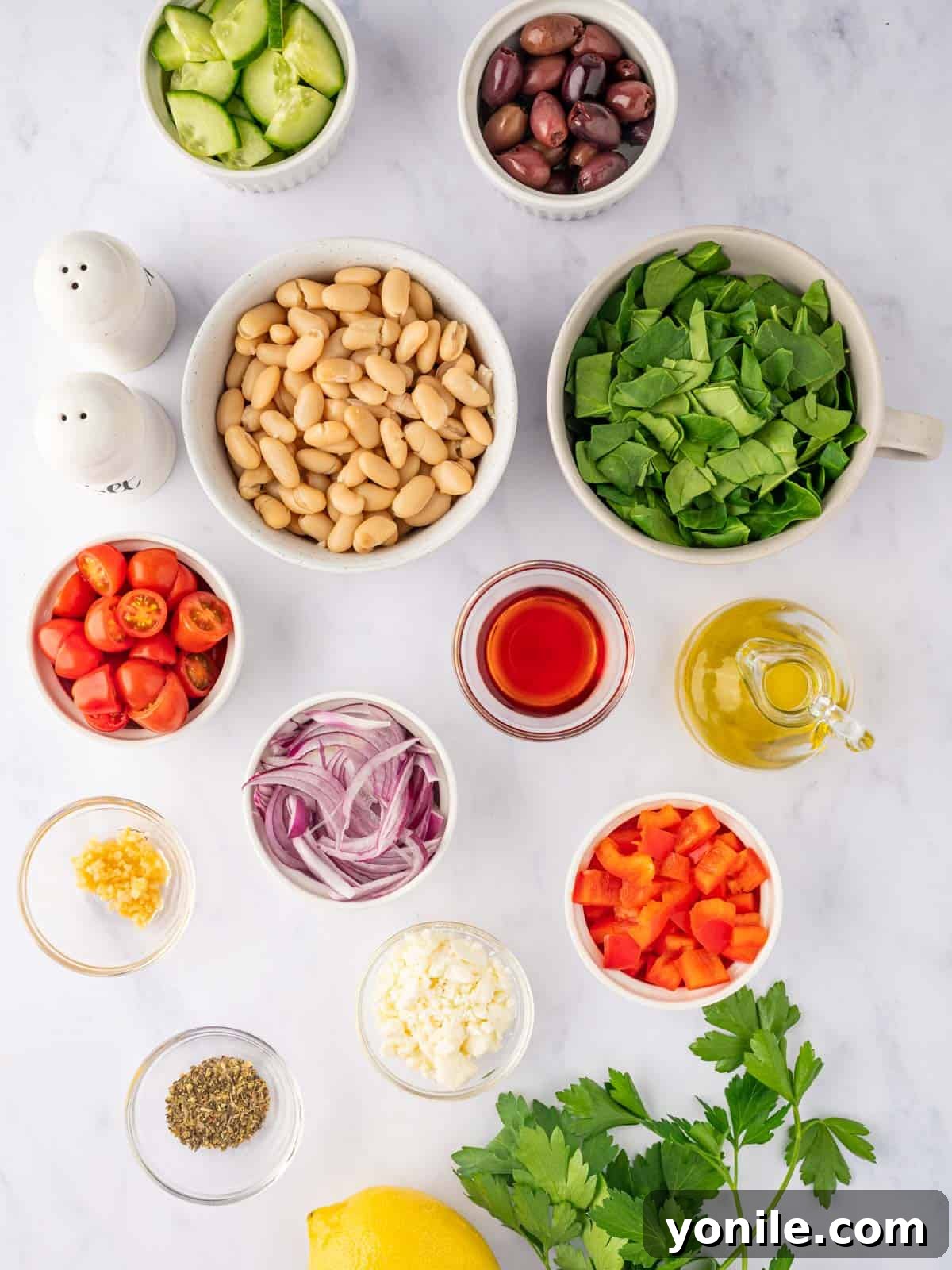 Ingredients needed for Greek Bean salad laid out. A collection of fresh ingredients including spinach, white beans, bell peppers, tomatoes, olives, onion, and feta cheese, ready for preparation.