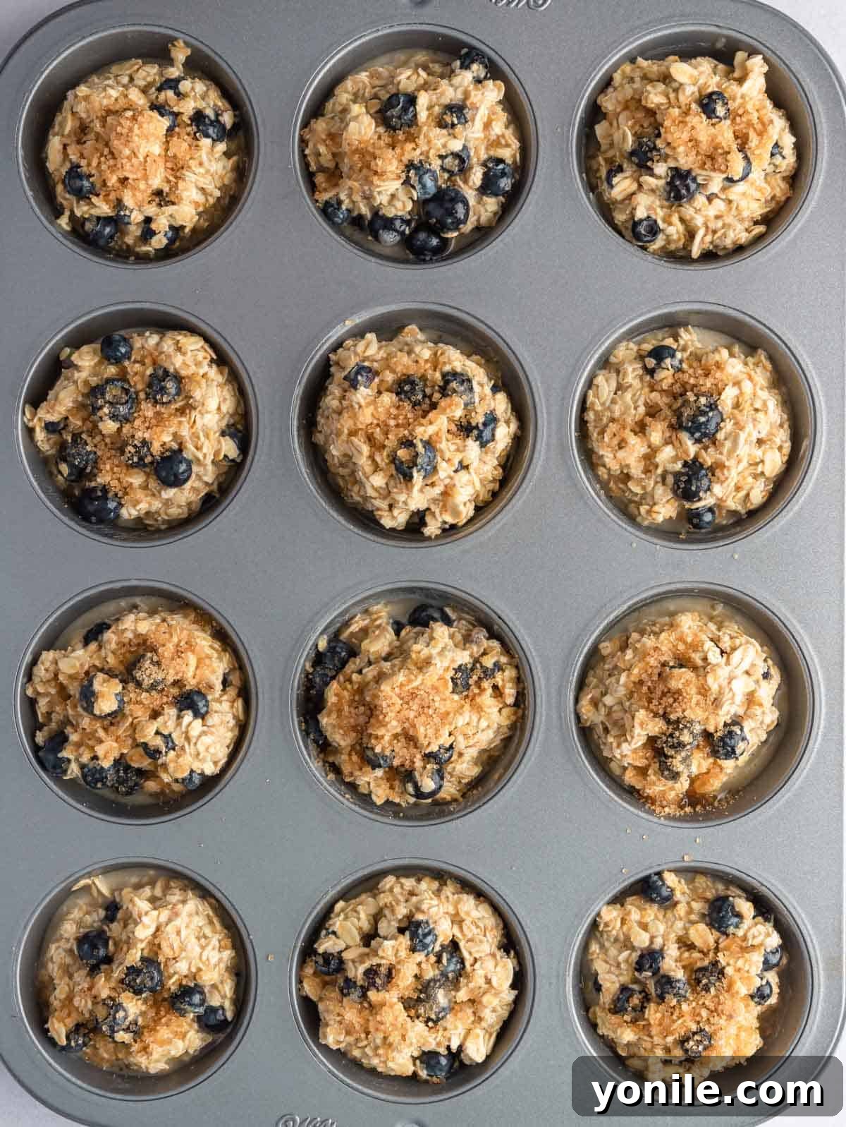 Oatmeal mixture before being baked in a muffin tin, with blueberries visible.