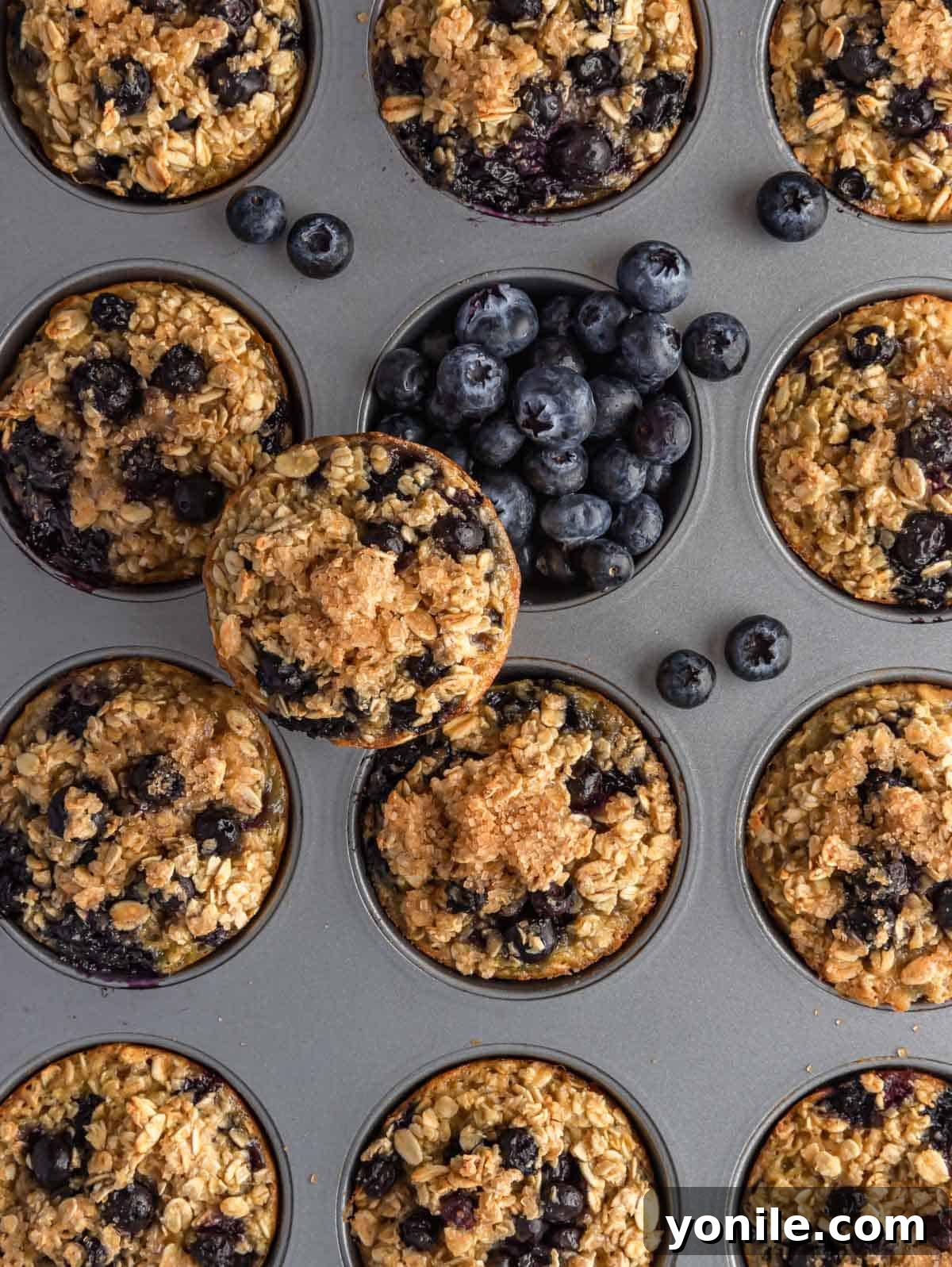 Cooked blueberry oatmeal cups on a cooling tray with fresh blueberries.