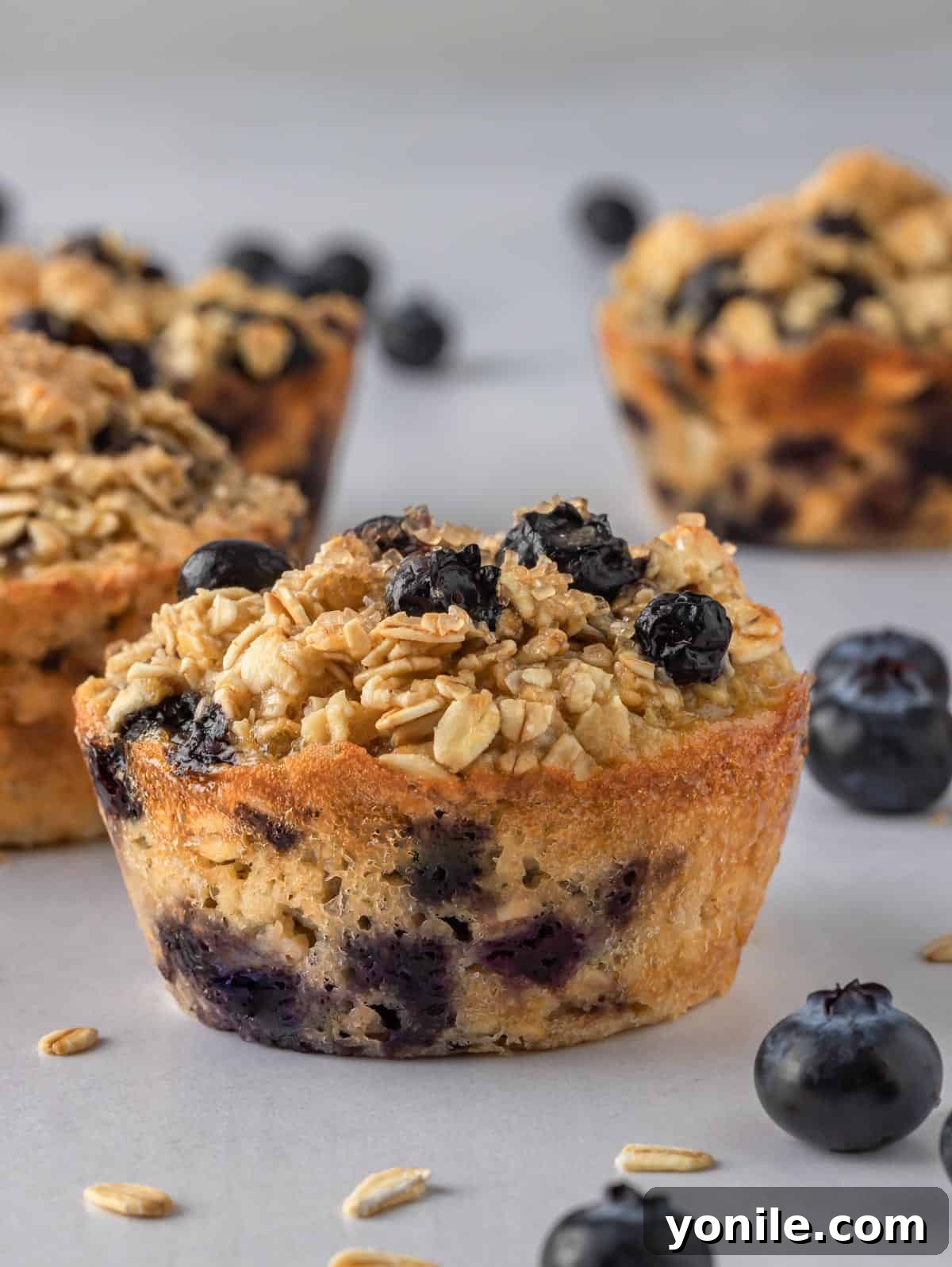 A beautiful closeup photo of a blueberry oatmeal cup, showing its texture and ingredients.