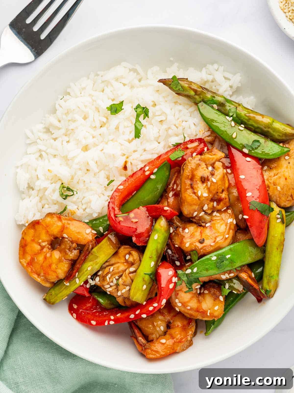 Sizzling Surf and Turf Stir-Fry 11 A beautifully plated dish of Chicken and Shrimp Stir Fry, served alongside a mound of fluffy white rice, ready to be enjoyed as a complete and satisfying meal.