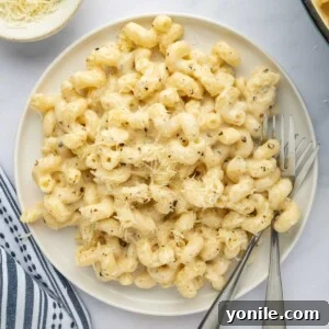 A serving of cheesy pasta on a plate.