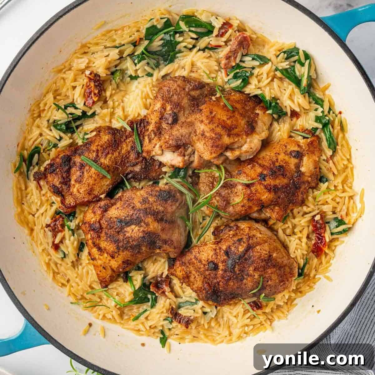 A beautifully presented platter of Cajun orzo topped with sliced grilled chicken.