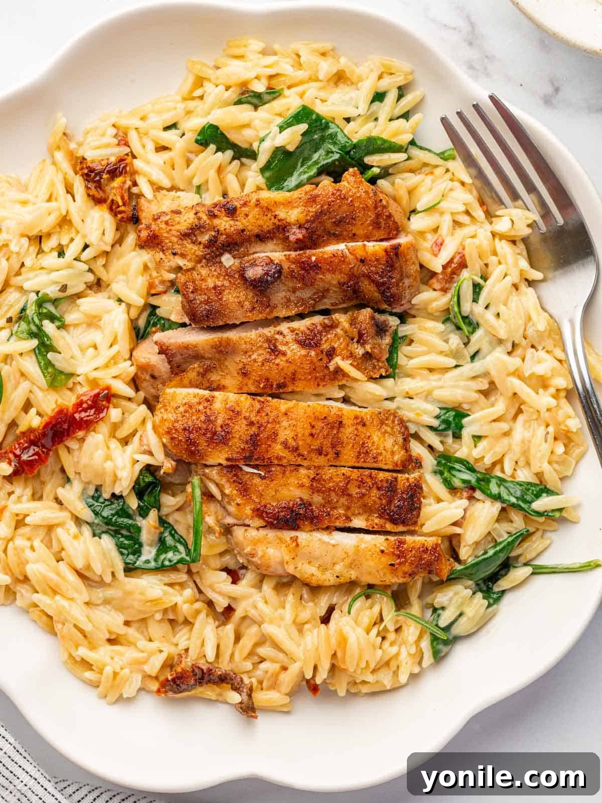 Slices of perfectly cooked Cajun chicken served over a bed of creamy orzo pasta, garnished with fresh herbs.