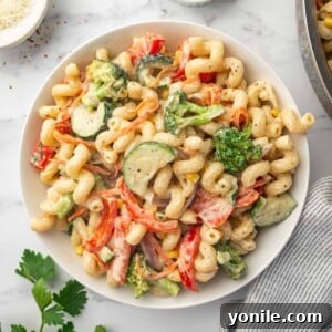 A plate of creamy veggie pasta, beautifully presented.