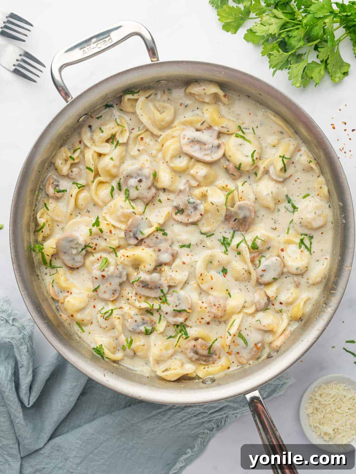 Creamy Cheese Tortellini Alfredo 2 A vibrant skillet of Cheese Tortellini Alfredo, garnished with fresh parsley, ready to be served.