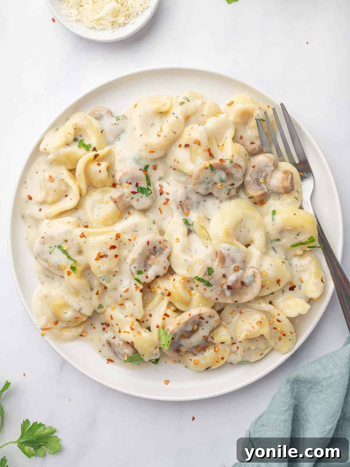 Creamy Cheese Tortellini Alfredo 11 A close-up of a plate of Cheese Tortellini Alfredo with a fork, highlighting the creamy sauce and tender pasta.