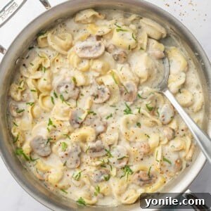 Creamy Cheese Tortellini Alfredo 12 Alfredo tortellini in a skillet, showcasing its creamy texture and mushroom additions.