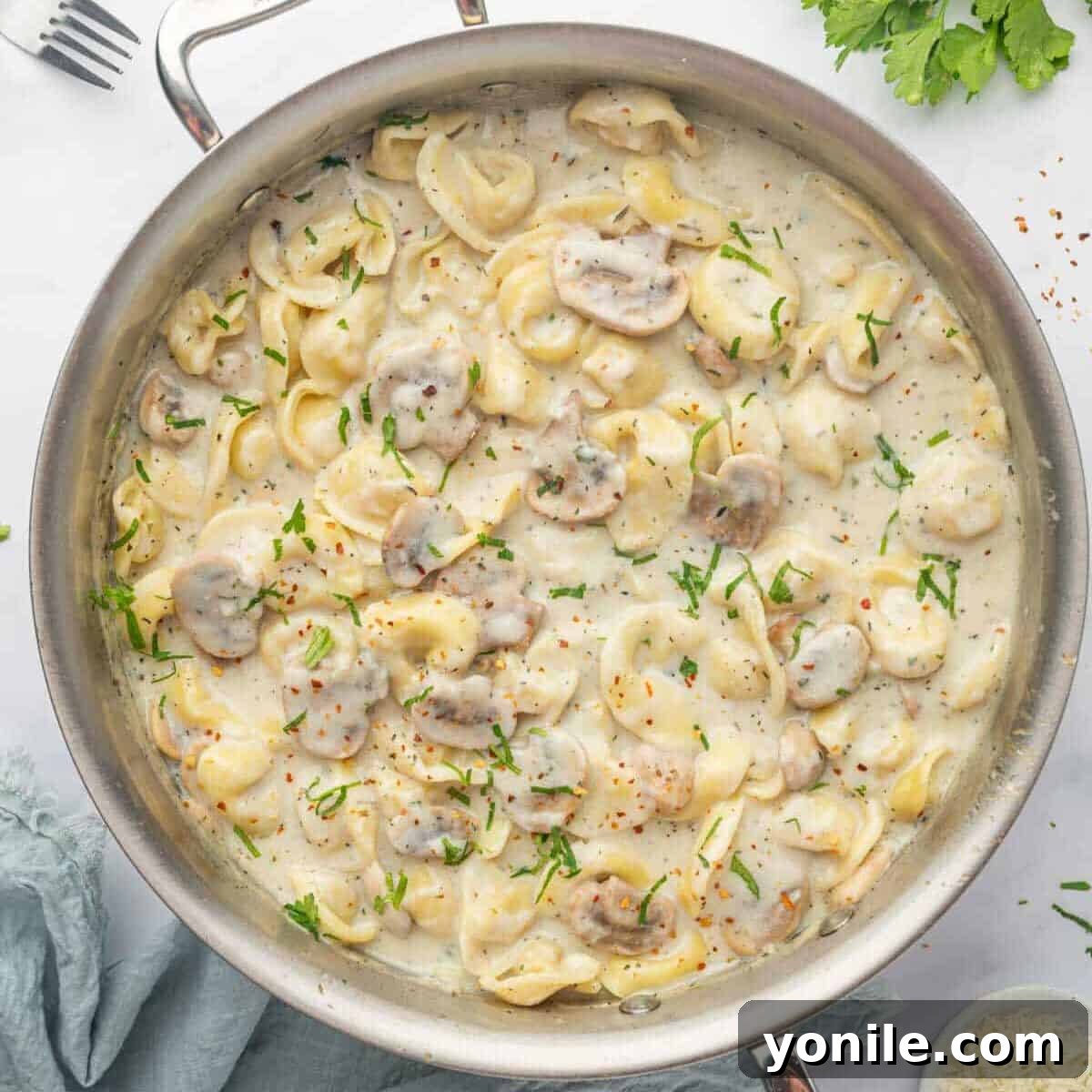 Creamy Cheese Tortellini Alfredo 9 A beautifully plated serving of Cheese Tortellini Alfredo, generously garnished with fresh parsley and a sprinkle of red pepper flakes.
