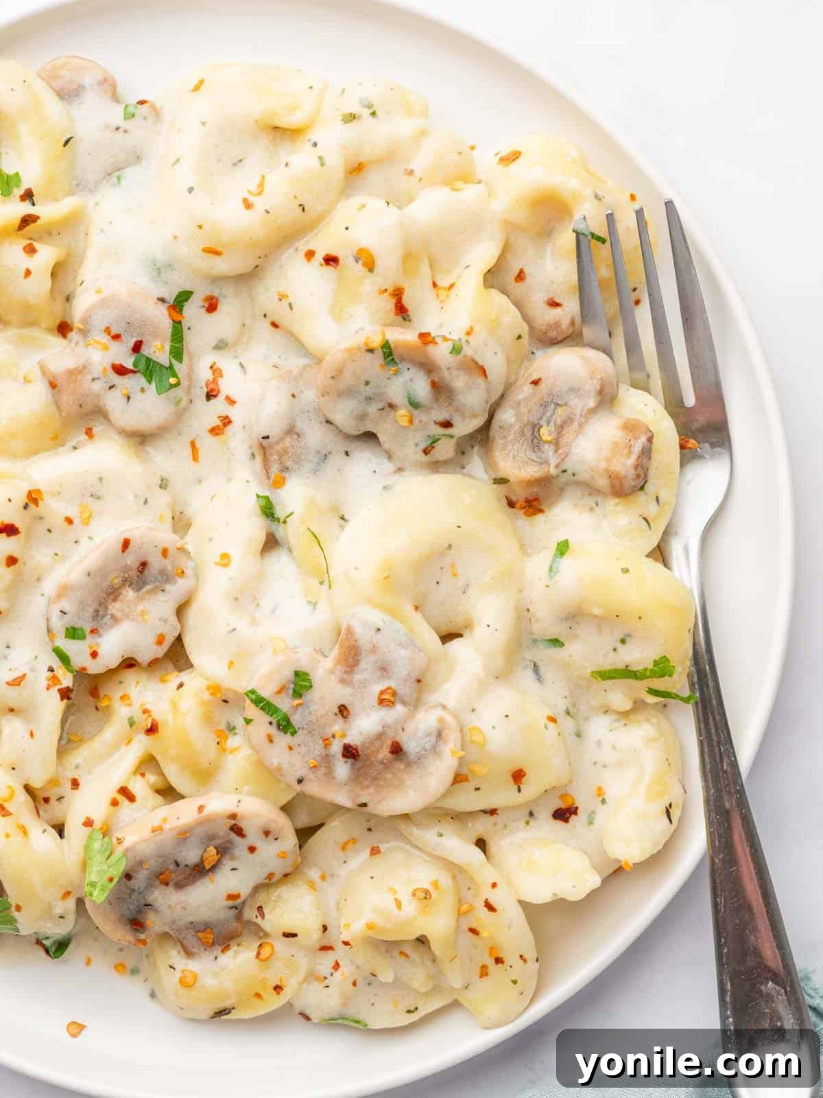 Creamy Cheese Tortellini Alfredo 10 A close-up shot of a plate filled with creamy Cheese Tortellini Alfredo, garnished with fresh herbs and a fork resting beside it.