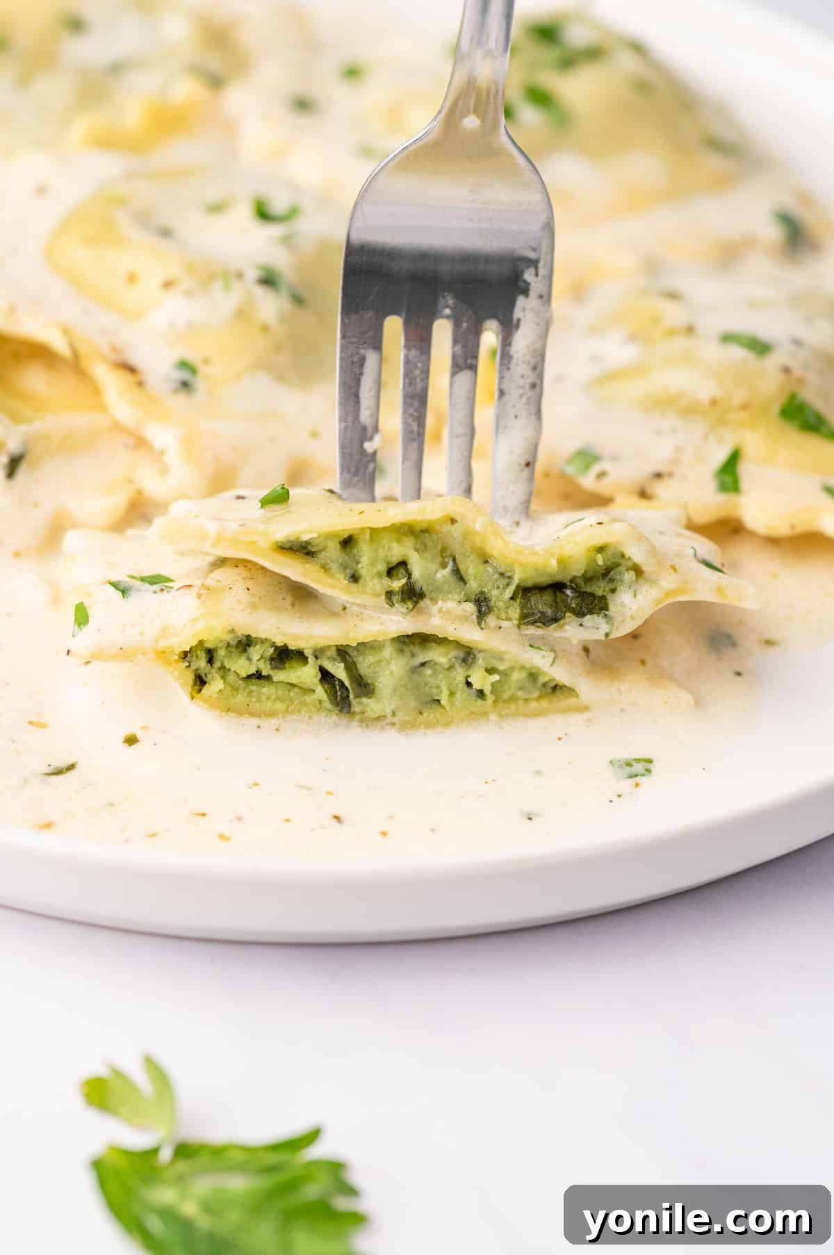 A fork picks up a piece of spinach filled ravioli.
