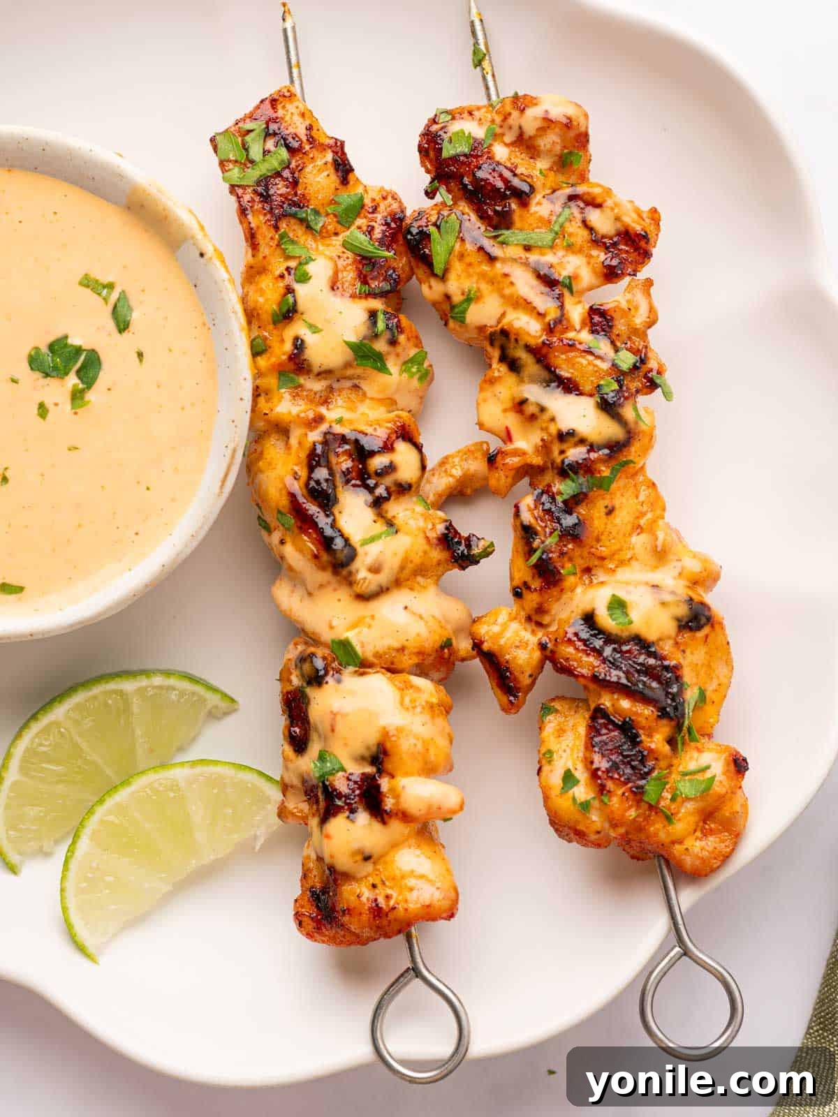 A beautifully plated serving of Bang Bang Chicken, showing its rich color and inviting texture.
