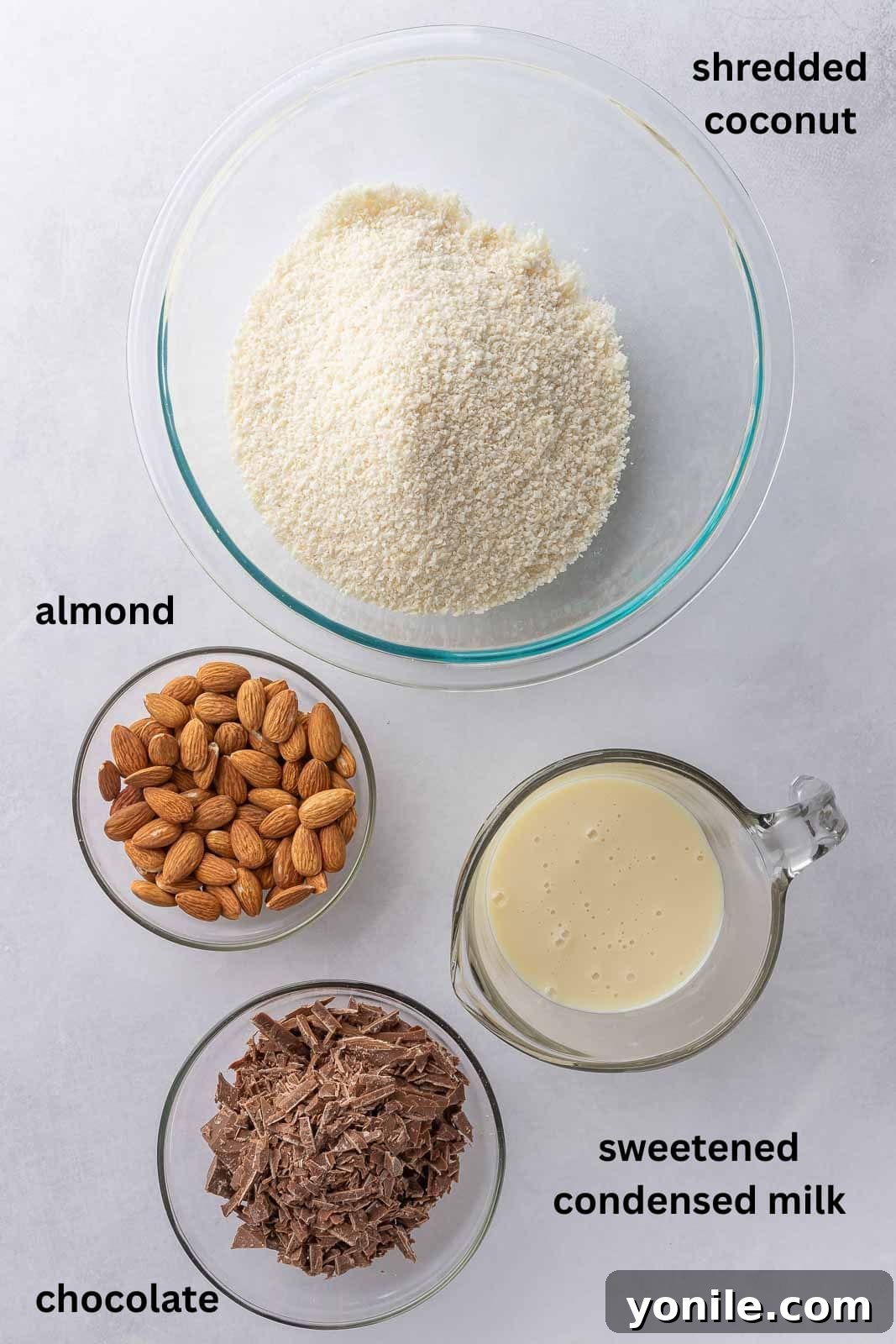 Fresh ingredients laid out for making delicious homemade coconut chocolate bars, including shredded coconut, chocolate chips, almonds, and condensed milk, ready for preparation.