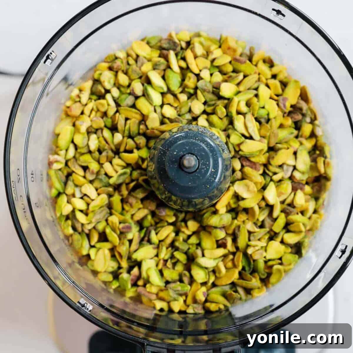 Whole pistachio in a food processor.