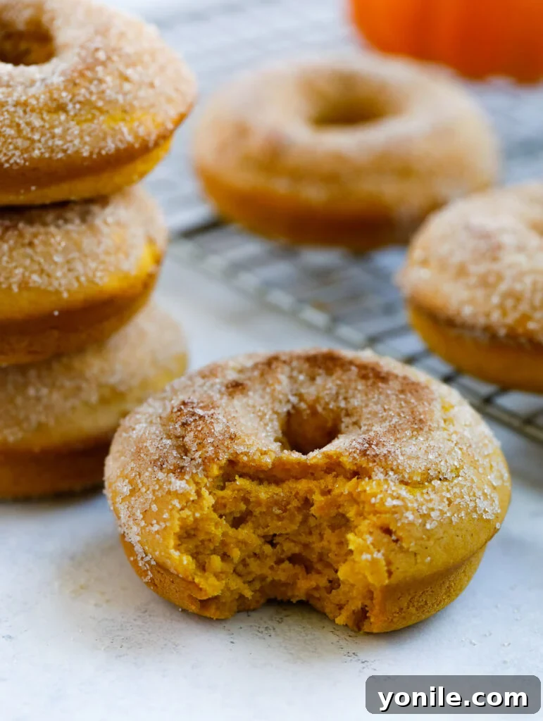 baked pumpkin donut with bite taken out