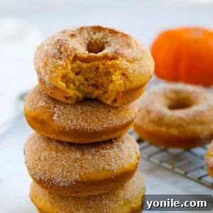 Baked Pumpkin Donuts