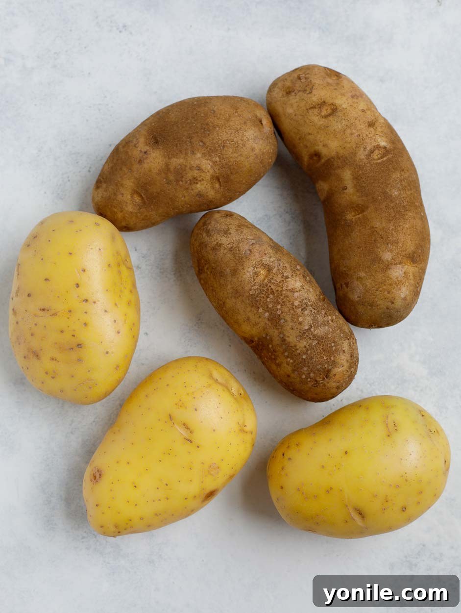 Yukon Golden and Russet Potatoes yukon and russet potatoes