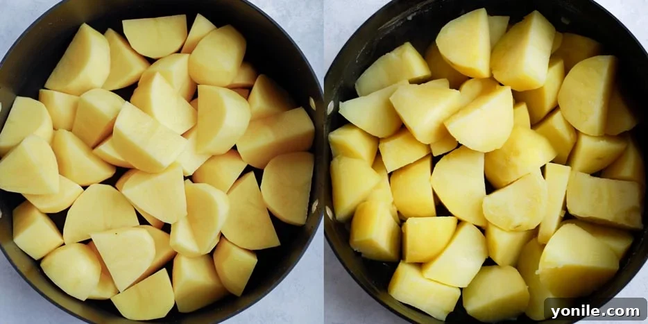 mashed potatoes cubed potatoes in a pot