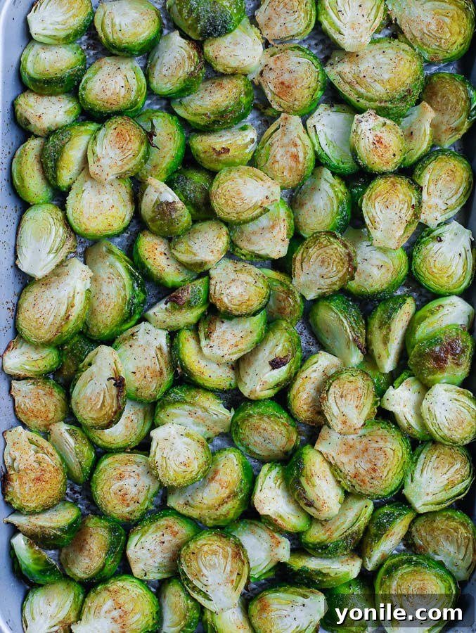 A tray of roasted Brussels sprouts fresh out of the oven