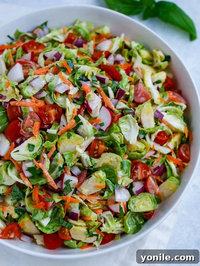 A top-down view of a generously portioned Brussels sprouts salad, artfully arranged and drizzled with dressing.