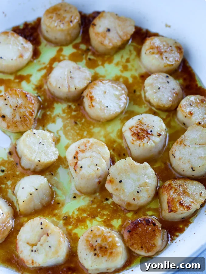 seared scallops in a pan