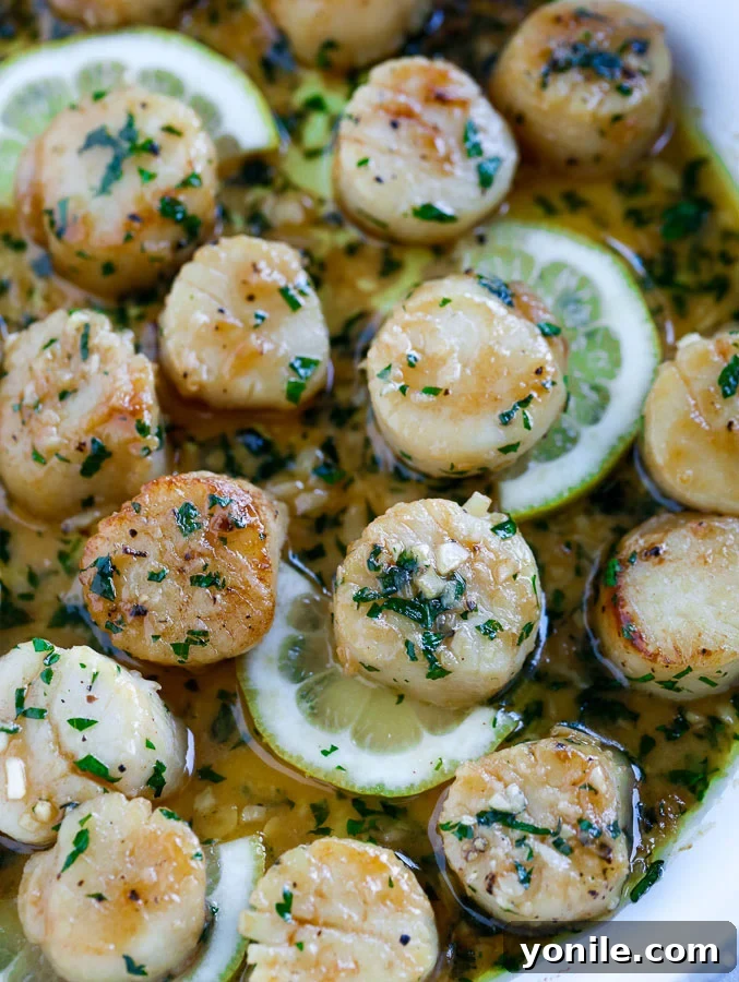 garlic scallops in a pan with lemon slices