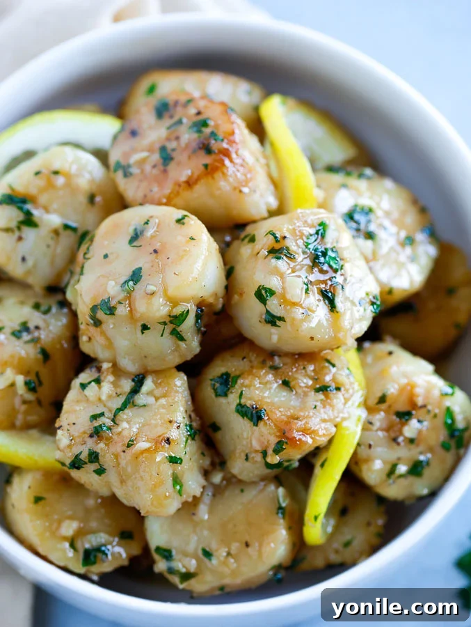 batch of garlic butter scallops in a bowl
