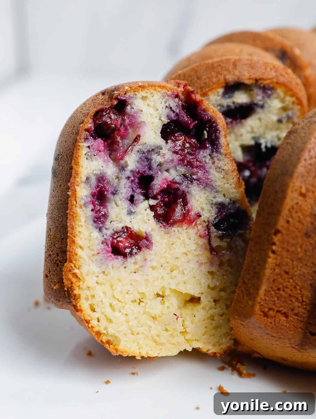 Super Moist Blueberry Bundt Cake Slice A beautifully sliced blueberry Bundt cake revealing a tender, moist interior dotted with plump blueberries.