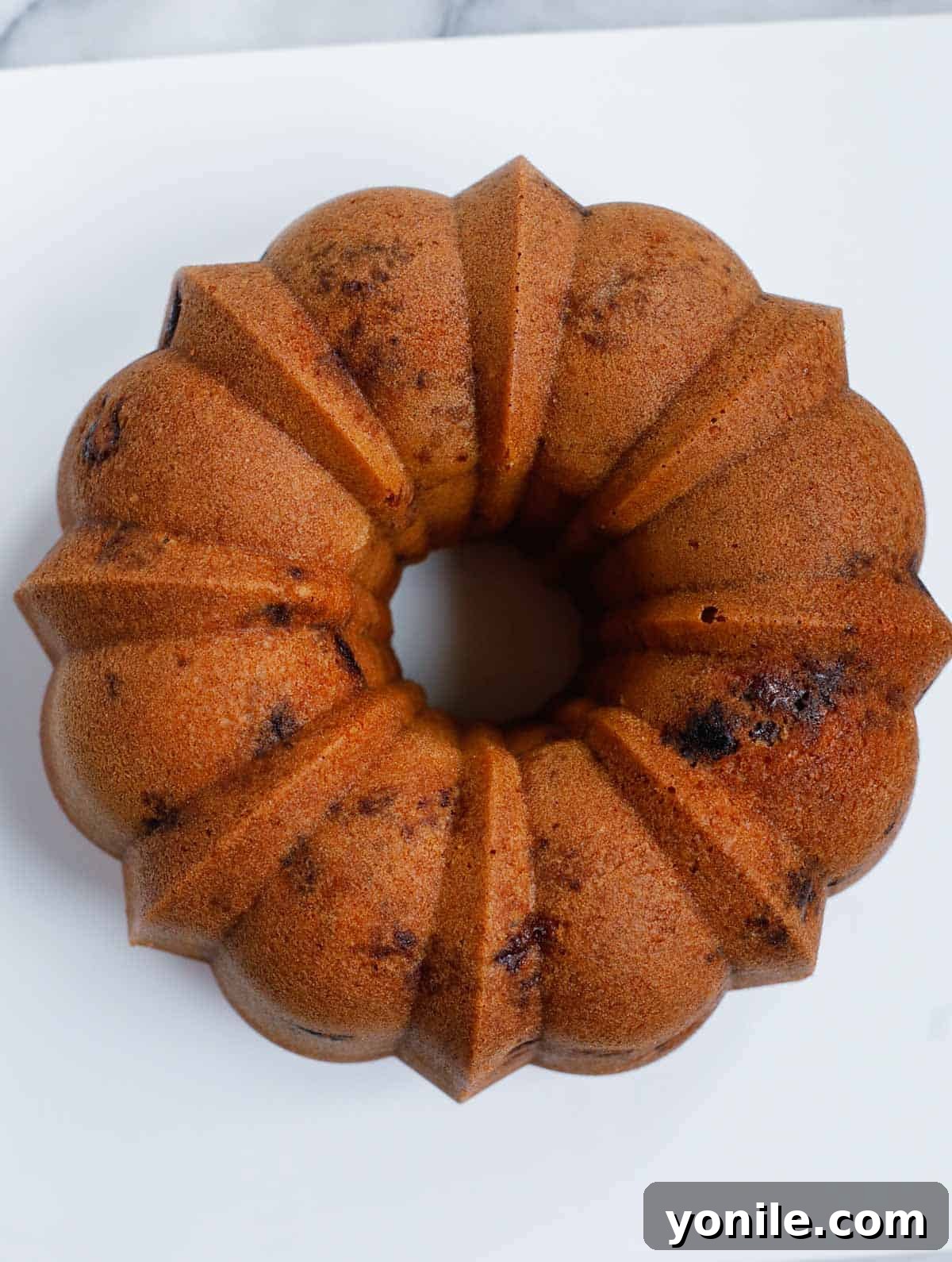 Luscious Blueberry Bundt Cake 5 A perfectly baked blueberry Bundt cake, golden brown and just removed from its pan, ready for cooling.