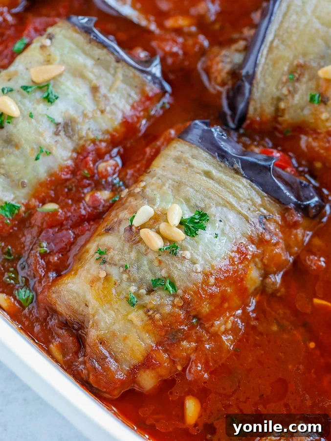 Delicious Stuffed Eggplant Rolls with Tomato Sauce