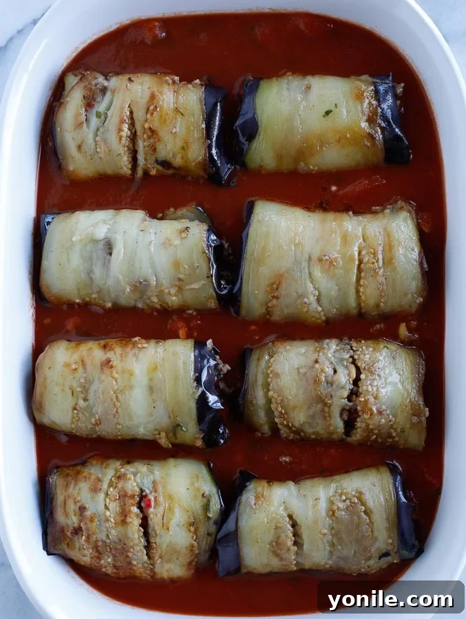 Assembled Stuffed Eggplant Rolls in Baking Dish