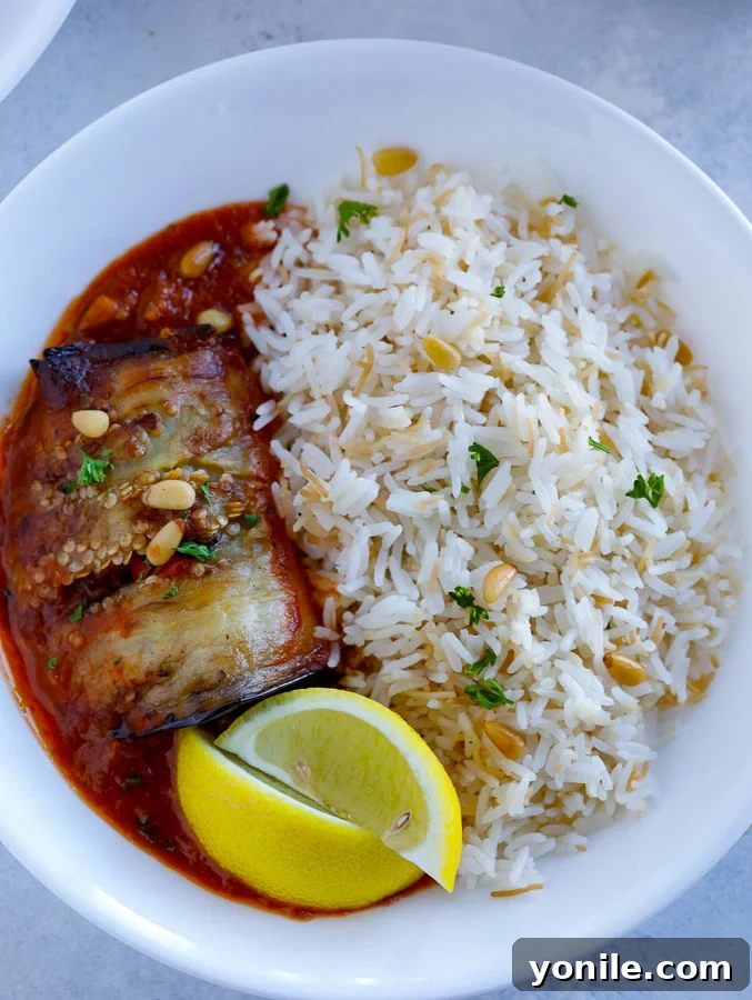 Served Sheikh El Mahshi with Vermicelli Rice