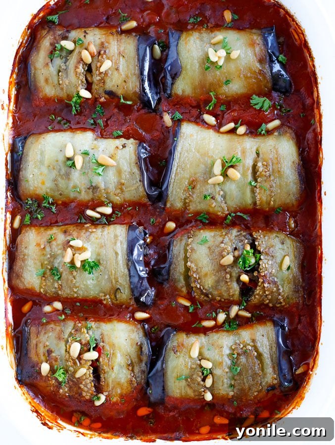 Stovetop Cooked Stuffed Eggplant (Sheikh El Mahshi)