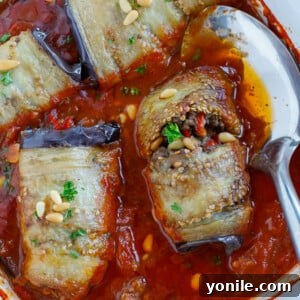 Sheikh El Mahshi (Stuffed Eggplant)