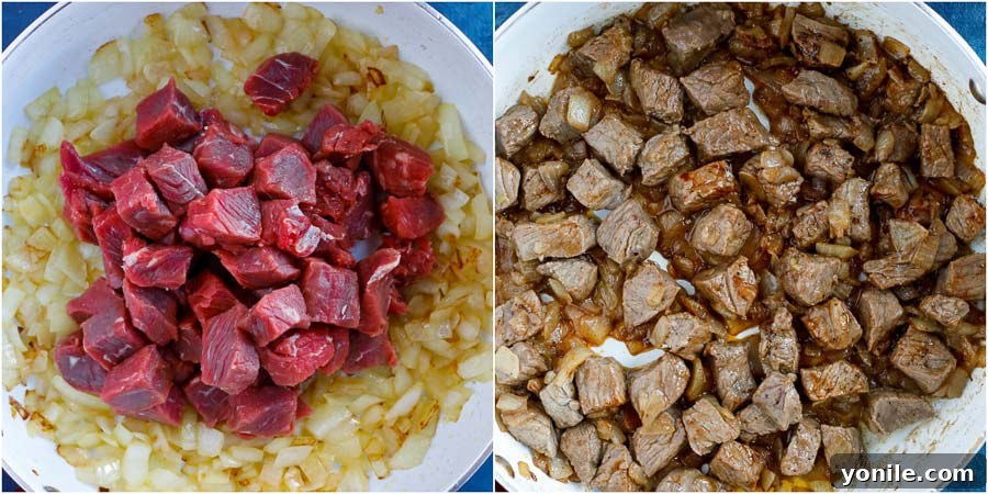 Robust Braised Beef with Tomatoes 2 beef stew