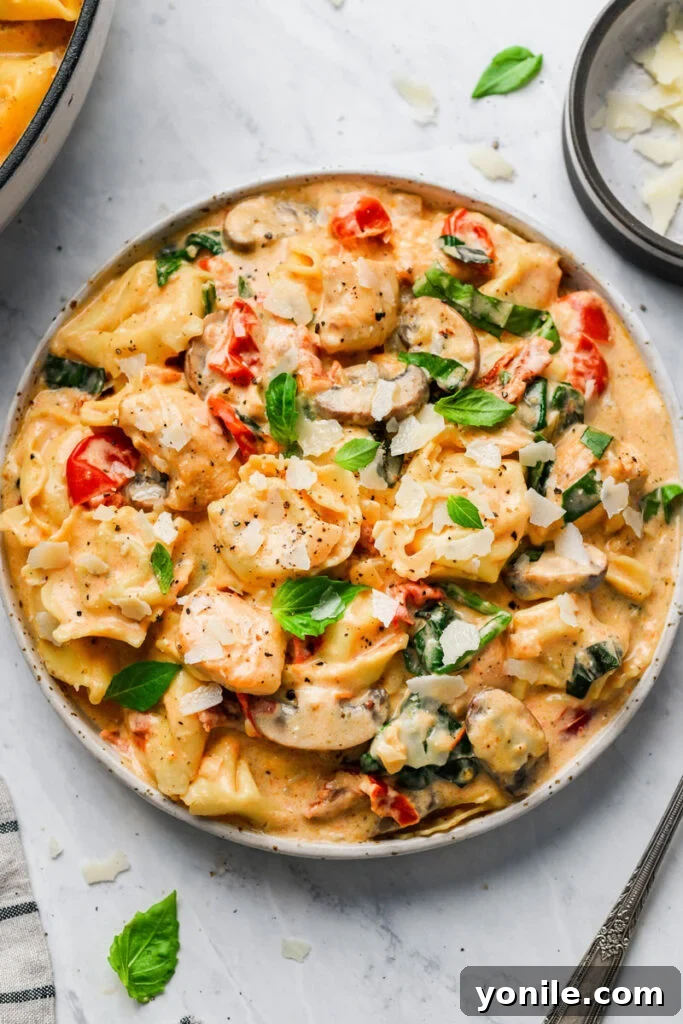creamy chicken mushroom tortellini pasta served on a plate and garnished with basil and cheese