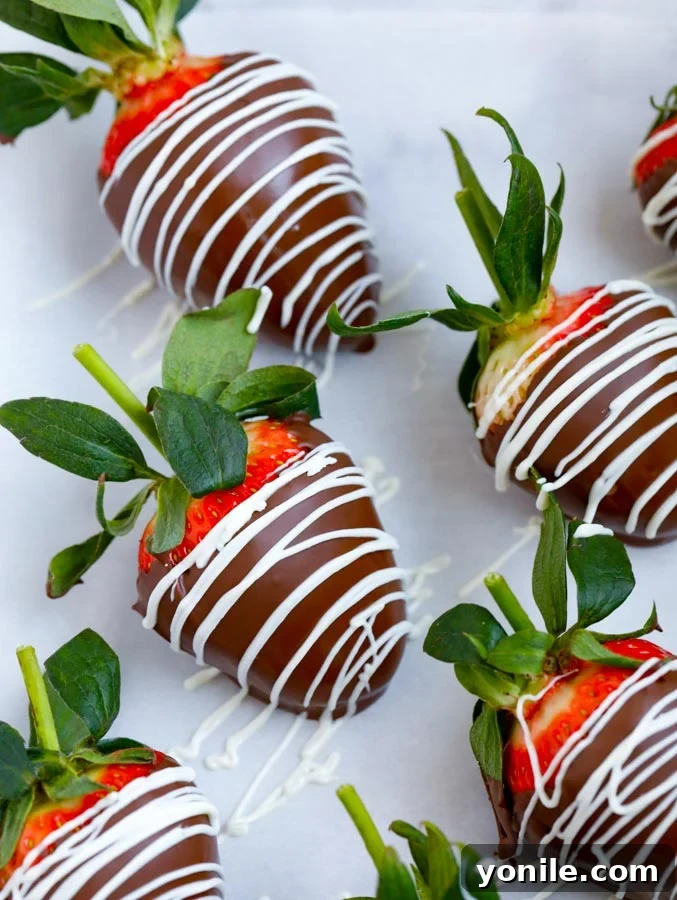 Perfectly drizzled white chocolate patterns cascading over dark chocolate-covered strawberries, creating an elegant finish.