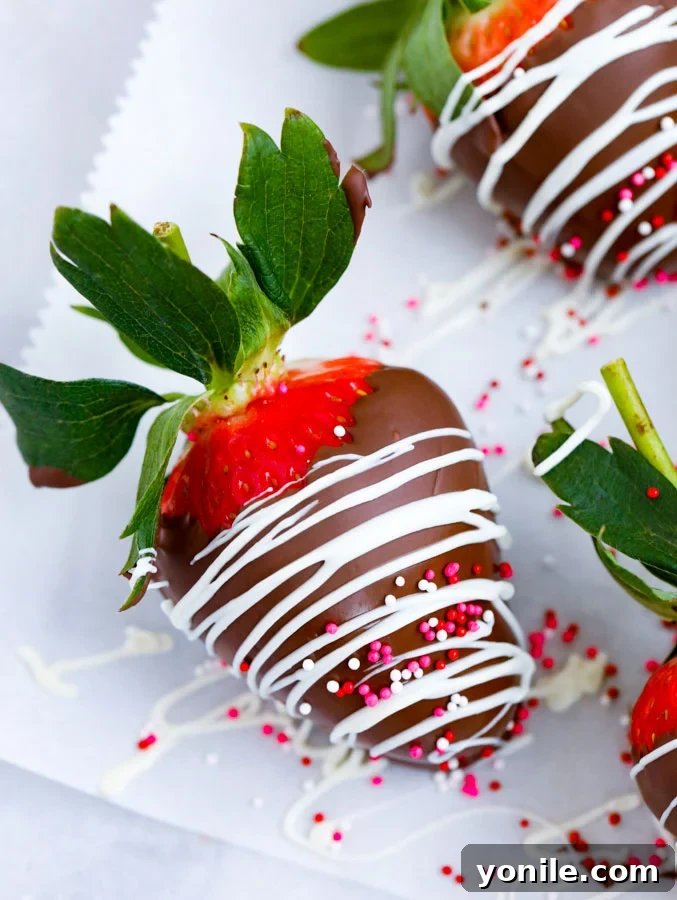 A vibrant close-up of several exquisitely finished chocolate covered strawberries, showcasing their glossy coating and artful white chocolate drizzles.