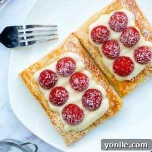 A beautiful raspberry tart on a plate, dusted with powdered sugar, representing the final product of the recipe.