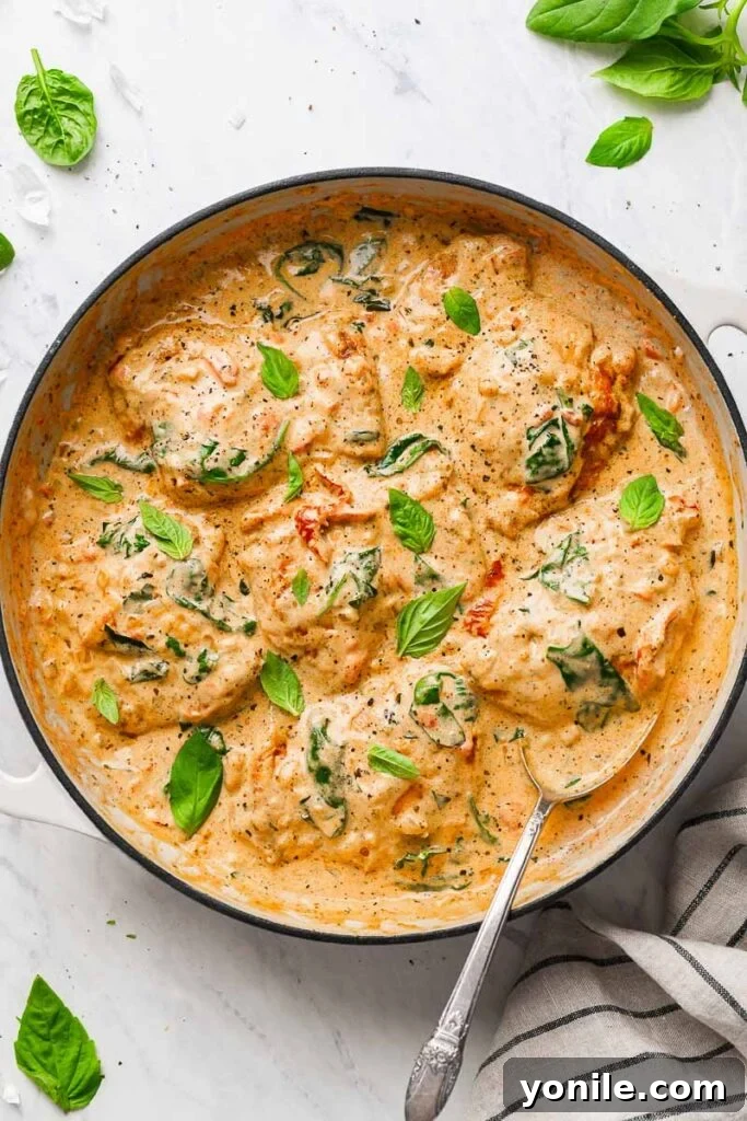 Velvety Sun-Dried Tomato Chicken Thighs 2 Top down view of the creamy chicken thighs dish, garnished with fresh basil leaves, ready to be served.